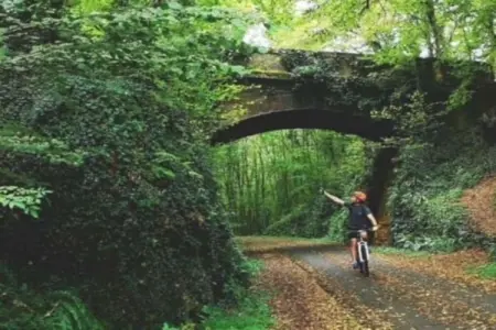 Sur la Cave, Maison 6 personnes à Carsac Aillac - Photo 32