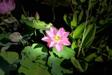 Sur la Cave, Maison 6 personnes à Carsac Aillac - Photo 37