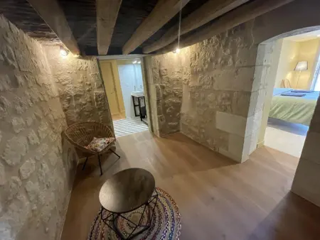 Gîte de Charme à Avoine avec Spa Privé et Jardin - Photo 19