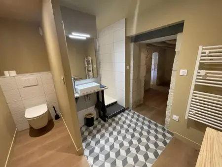 Gîte de Charme à Avoine avec Spa Privé et Jardin - Photo 21