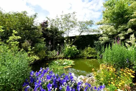 Petite Somme, Belle maison de vacances à Durbuy avec jardin - Photo 34