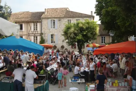 Chateau de Plèneselve 26P, Retraite au château près des villages - Photo 33