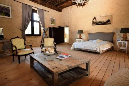 Chateau de plèneselve 12P, Château près d'Agen avec piscine - Photo 15