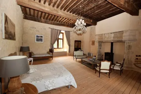 Chateau de plèneselve 12P, Château près d'Agen avec piscine - Photo 19