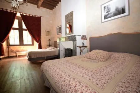 Chateau de plèneselve 12P, Château près d'Agen avec piscine - Photo 21