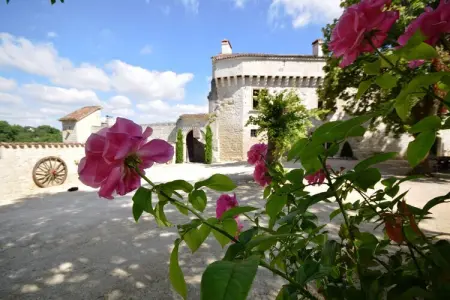 Chateau de plèneselve 12P, Château près d'Agen avec piscine - Photo 38
