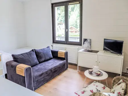 Le Cristal des Glaces, Appartement 2 personnes à Chamonix - Photo 3