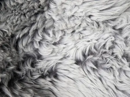 La Siala Apt.28, Appartement 4 personnes à Falera - Photo 19