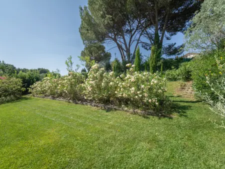 La Rosa, Villa 17 personnes à Montelupo Fiorentino - Photo 64