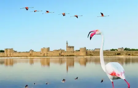 Location Maison 6 personnes à Salon de Provence - Photo 20