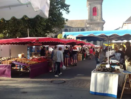 Maison moderne 8 pers à St Gildas de Rhuys, près du bourg et falaises - Photo 33