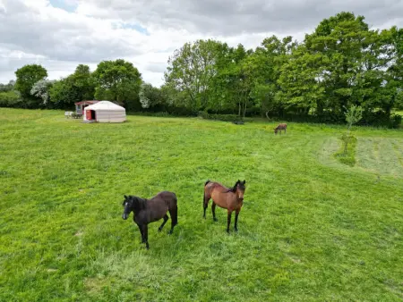 Séjour unique dans une yourte mongole avec vue panoramique - Photo 1