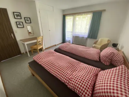 Apartments Carmena, Appartement 4 personnes à Saas Grund - Photo 12