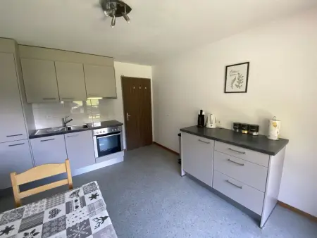 Apartments Carmena, Appartement 4 personnes à Saas Grund - Photo 19
