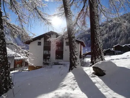 Apartments Carmena, Appartement 4 personnes à Saas Grund - Photo 5