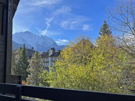 Im Gruebi Apt. 10, Appartement 5 personnes à Wengen - Photo 19