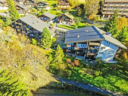Im Gruebi Apt. 10, Appartement 5 personnes à Wengen - Photo 20