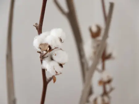 La Siala Apt.30, Appartement 4 personnes à Falera - Photo 6