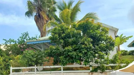 Bungalow charmant à Capesterre-Belle-Eau, 35 m², piscine - Photo 3