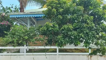 Bungalow charmant à Capesterre-Belle-Eau, 35 m², piscine - Photo 4