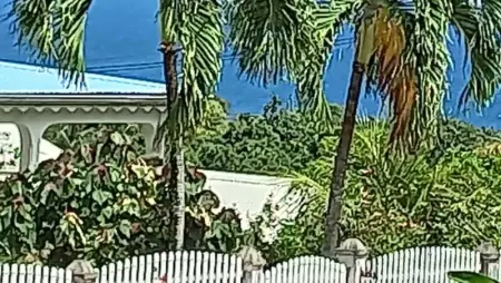 Bungalow charmant à Capesterre-Belle-Eau, 35 m², piscine - Photo 15