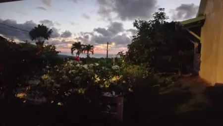 Bungalow charmant à Capesterre-Belle-Eau, 35 m², piscine - Photo 16