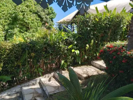 Bungalow charmant à Capesterre-Belle-Eau, 35 m², piscine - Photo 17