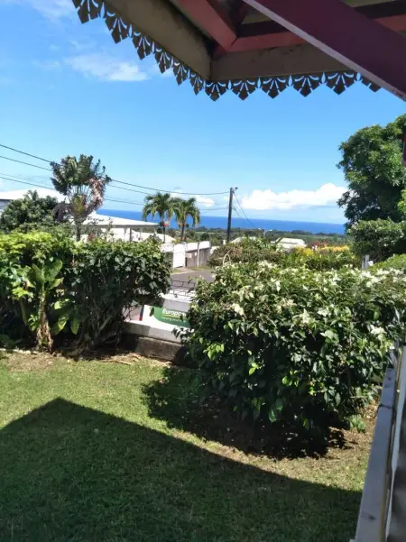 Bungalow charmant à Capesterre-Belle-Eau, 35 m², piscine - Photo 19