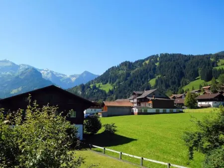 Amaryllis, Appartement 5 personnes à Lenk - Photo 4