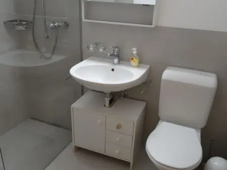 Amaryllis, Appartement 5 personnes à Lenk - Photo 17