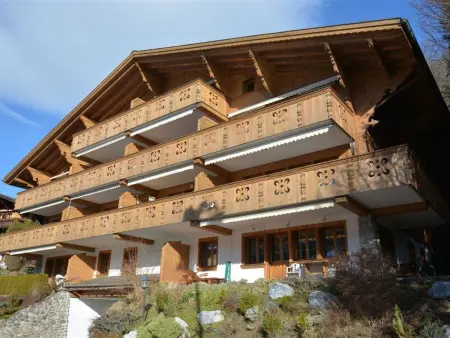 Drive (Nr. 3), Appartement 6 personnes à Gstaad - Photo 1
