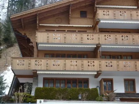 Drive (Nr. 3), Appartement 6 personnes à Gstaad - Photo 2