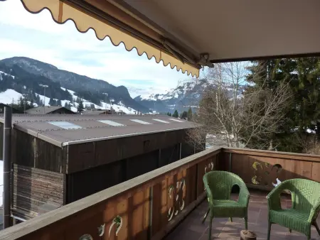 Drive (Nr. 3), Appartement 6 personnes à Gstaad - Photo 8
