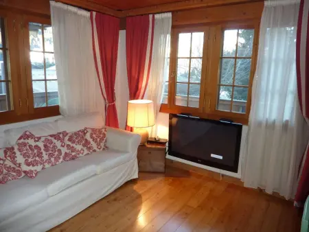 Drive (Nr. 3), Appartement 6 personnes à Gstaad - Photo 16