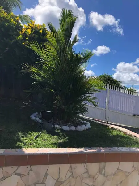 Villa spacieuse avec piscine à Le Marin, Villa 8 personnes à Le Marin - Photo 15