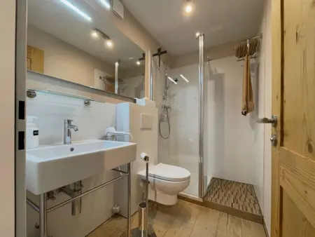 Milimatta 1 1. OG Süd, Appartement 2 personnes à Fiesch - Photo 7