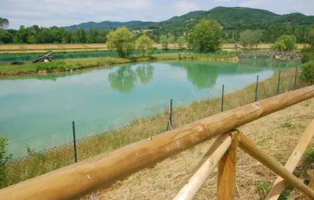 Location Maison 16 personnes à Montone - Photo 69