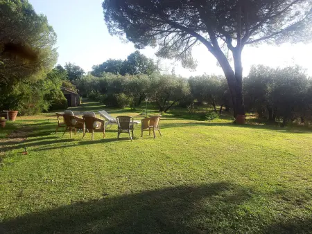 Podere Sant' Antonio (BOL213), Appartement 2 personnes à Lago di Bolsena - Photo 17