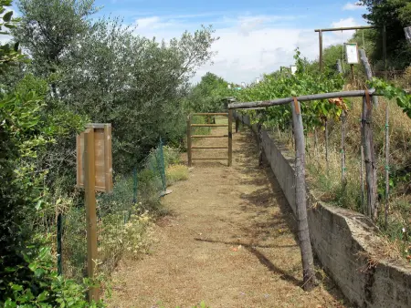 Paradiso Selvaggio, Gite 6 personnes à Lago Trasimeno - Photo 27