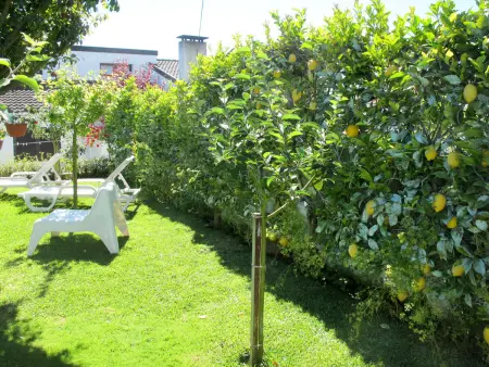 Lopes, Bungalow 4 personnes à Fao - Photo 31