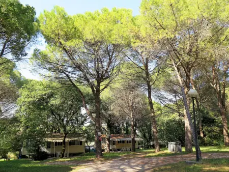 Belvedere Pineta Camping Village, Maison 6 personnes à Grado - Photo 21