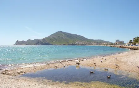 Location Appartement 3 personnes à El Albir - Photo 22