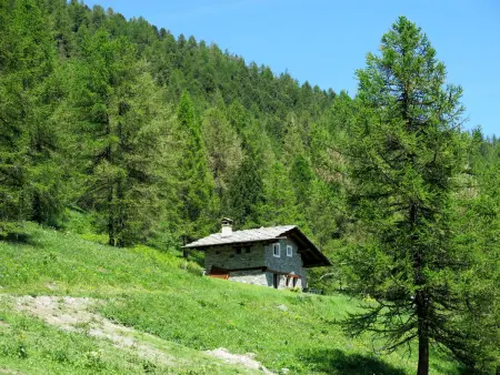 Casot Pra Viei, Chalet 5 personnes à Sampeyre - Photo 16