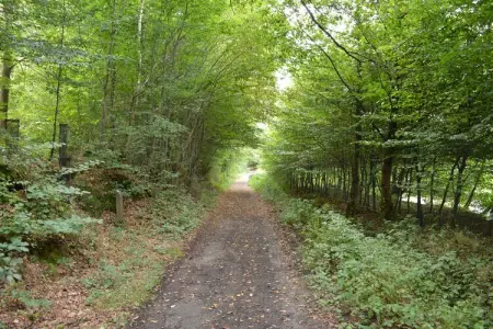 Le Fenil, Belle ferme à Sivry-Rance avec jardin - Photo 26