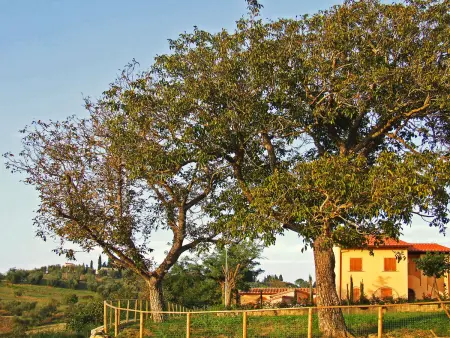Le Palaie - 'Padronale' (PEC209), Appartement 4 personnes à Peccioli - Photo 1