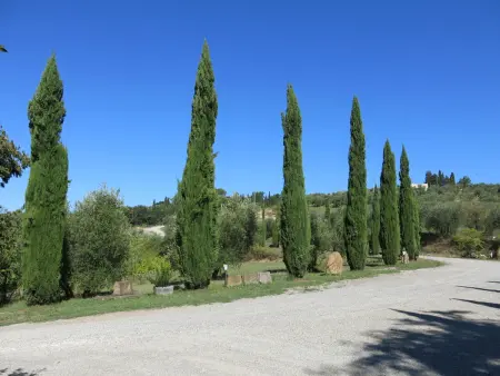 Le Palaie - 'Padronale' (PEC209), Appartement 4 personnes à Peccioli - Photo 30