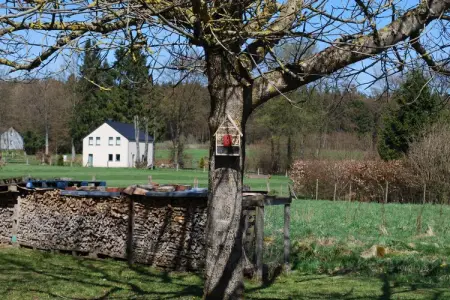 Gite de Haute Bosfagne, Maison dans les Ardennes près du parc - Photo 34