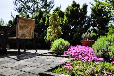L'Orchidée, Maison de vacances chic à Durbuy avec sauna - Photo 31