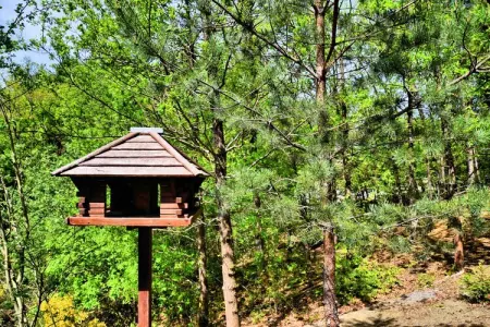 L'Orchidée, Maison de vacances chic à Durbuy avec sauna - Photo 32