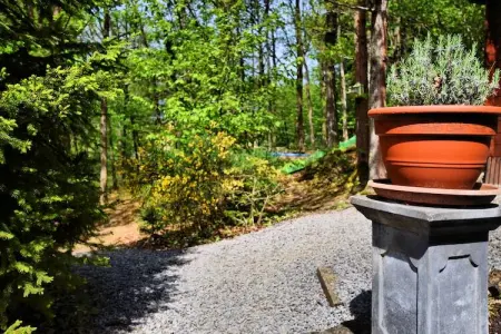 L'Orchidée, Maison de vacances chic à Durbuy avec sauna - Photo 34
